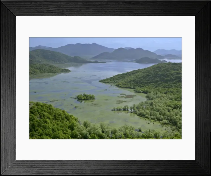 Framed Print : Lake Skadar embedded between mountains with marshland and isles Lake Skadar National Park, Montenegro Framed Print : Lake Skadar embedded between mountains with marshland and isles Lake Skadar National Park, Montenegro