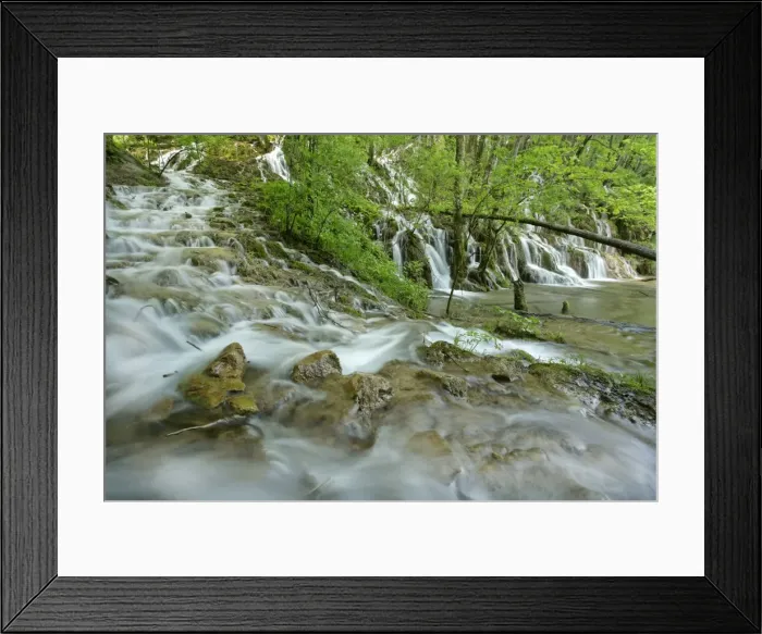 Framed Print : Flooded forest river cascading through forest in the upper lakes area Plitvice Lakes National Park, Croatia Framed Print : Flooded forest river cascading through forest in the upper lakes area Plitvice Lakes National Park, Croatia