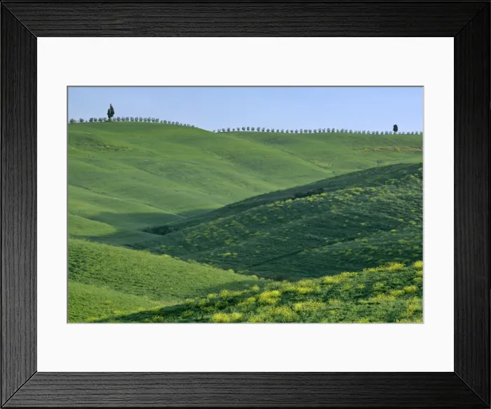 Framed Print : Rolling hills in springtime Val d Orcia, Tuscany, Italy Framed Print : Rolling hills in springtime Val d Orcia, Tuscany, Italy