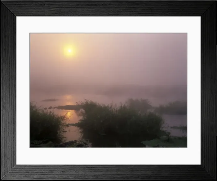 Framed Print : Morning mist sunrise over Sabie river with morning mist and reflection Kruger National Park, South Africa Framed Print : Morning mist sunrise over Sabie river with morning mist and reflection Kruger National Park, South Africa