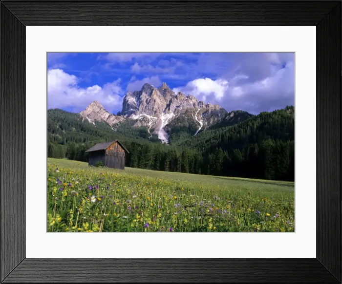 Framed Print : Mountain scenery with flowering meadow and hut near Praga di fuori Nationalpark Fennes-Prags, Dolomites, South Tyrol, Italy Framed Print : Mountain scenery with flowering meadow and hut near Praga di fuori Nationalpark Fennes-Prags, Dolomites, South Tyrol, Italy