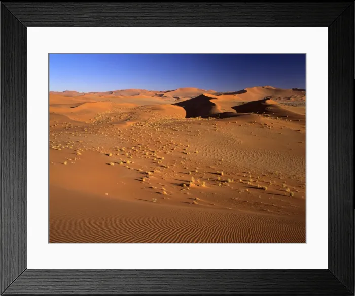Framed Print : Namib desert sea of red dunes at Sossusvlei Namib Naukluft Park, Namibia, Africa Framed Print : Namib desert sea of red dunes at Sossusvlei Namib Naukluft Park, Namibia, Africa