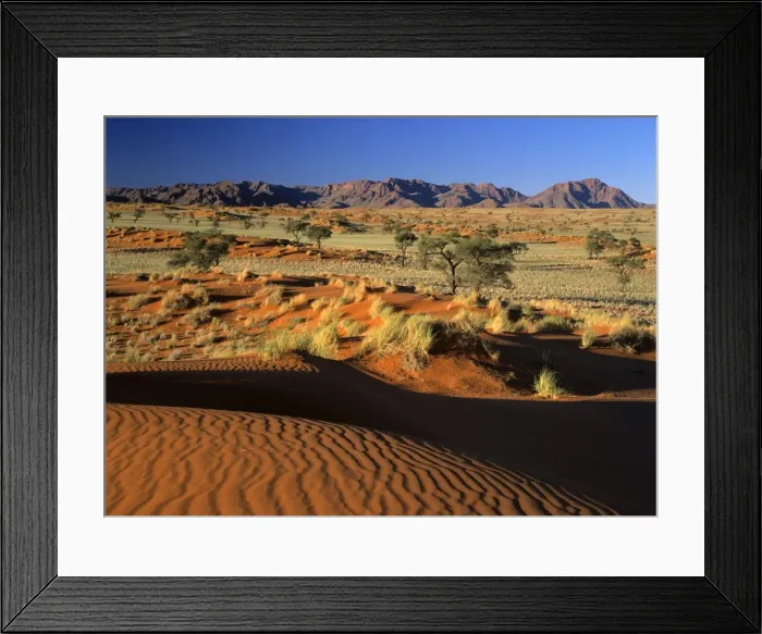 Framed Print : Namib Rand view over red dunes and savanna to the Naukluft mountains Namib Rand Nature Reserve, Namibia, Africa