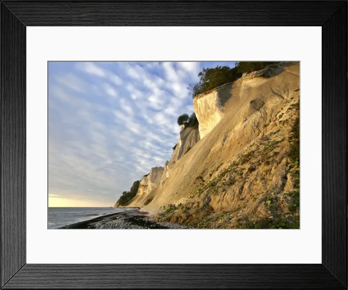 Framed Print : Cliffs of Moen steep chalk cliffs and pebble beach Mons Klint, Moen Peninsula, Denmark Framed Print : Cliffs of Moen steep chalk cliffs and pebble beach Mons Klint, Moen Peninsula, Denmark