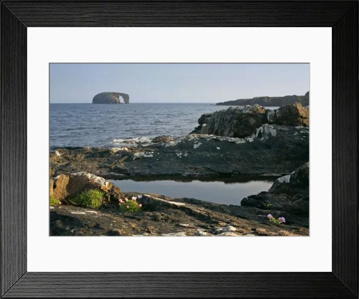Framed Print : Coastal Scenery basalt cliffs and rock arch Dore Holm Northmavine, North Mainland, Shetland Isles, Scotland, UK Framed Print : Coastal Scenery basalt cliffs and rock arch Dore Holm Northmavine, North Mainland, Shetland Isles, Scotland, UK