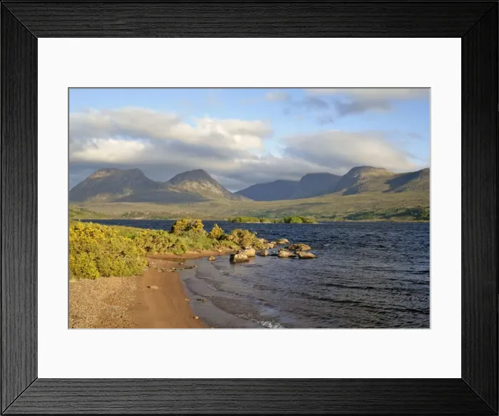 Framed Print : Mountain scenery view from the shores of Loch Lurgainn towards Cul Beag and Beinn an Eoin with blooming gorse near Inverpolly Nature Reserve, Western Highlands, Scotland, UK Framed Print : Mountain scenery view from the shores of Loch Lurgainn towards Cul Beag and Beinn an Eoin with blooming gorse near Inverpolly Nature Reserve, Western Highlands, Scotland, UK