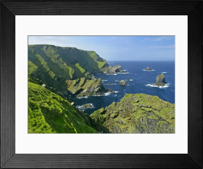 Framed Print : Coastal Scenery steep, jagged cliffs and sea stacks of Hermaness Nature Reserve Unst, Shetland Isles, Scotland, UK Framed Print : Coastal Scenery steep, jagged cliffs and sea stacks of Hermaness Nature Reserve Unst, Shetland Isles, Scotland, UK