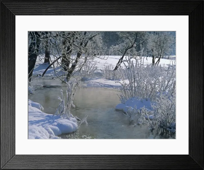 Framed Print : Winter scenery steaming brook flanked by frost-covered trees and shrubbery Baden-Wuerttemberg, Germany Framed Print : Winter scenery steaming brook flanked by frost-covered trees and shrubbery Baden-Wuerttemberg, Germany