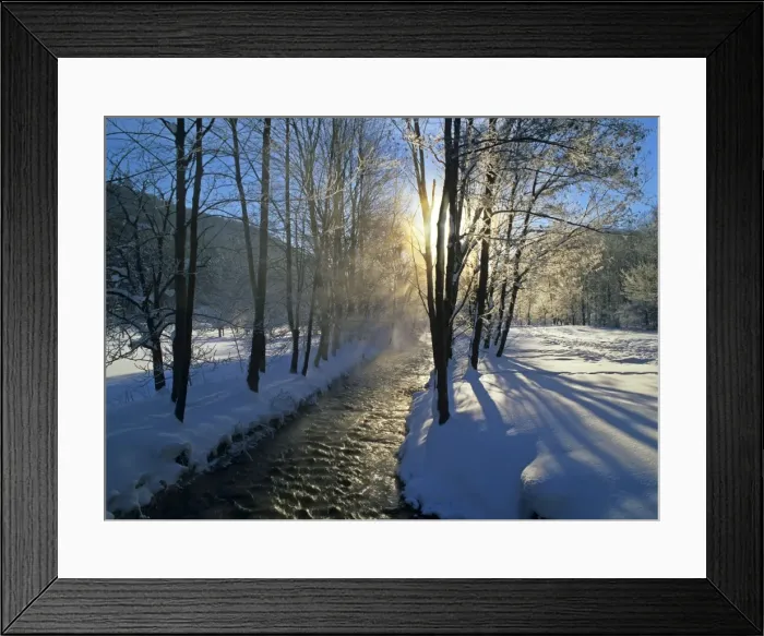 Framed Print : Winter scenery morning sun and steaming brook flanked by frost-covered trees Baden-Wuerttemberg, Germany Framed Print : Winter scenery morning sun and steaming brook flanked by frost-covered trees Baden-Wuerttemberg, Germany