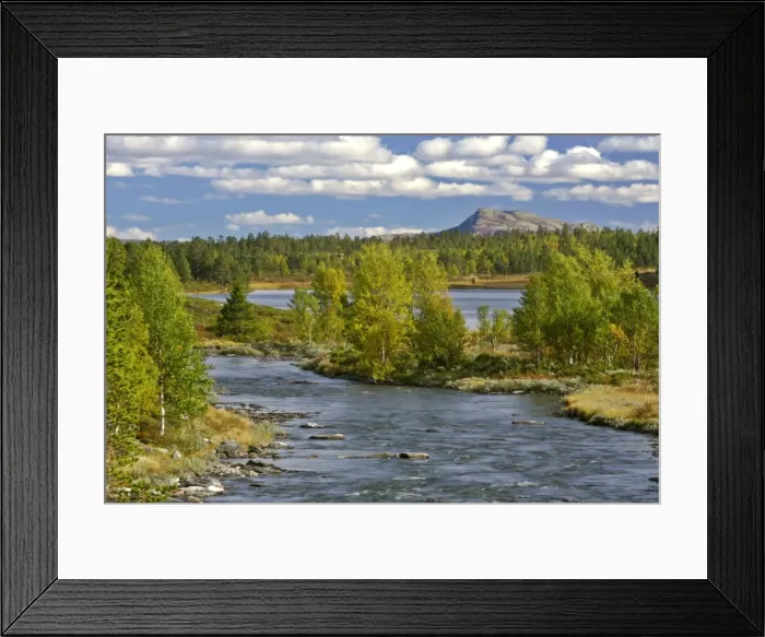 Framed Print : Rondane mountain scenery with lake, river and patches of forest Rondane National Park, Hedmark, Norway Framed Print : Rondane mountain scenery with lake, river and patches of forest Rondane National Park, Hedmark, Norway