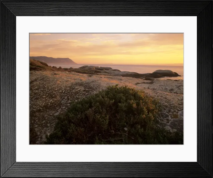 Framed Print : Cape Peninsula rocky coastline near Boulder's Beach at sunrise with table mountain in background Boulder's Beach, Western Cape Province, Cape Peninsula, South Africa Framed Print : Cape Peninsula rocky coastline near Boulder's Beach at sunrise with table mountain in background Boulder's Beach, Western Cape Province, Cape Peninsula, South Africa
