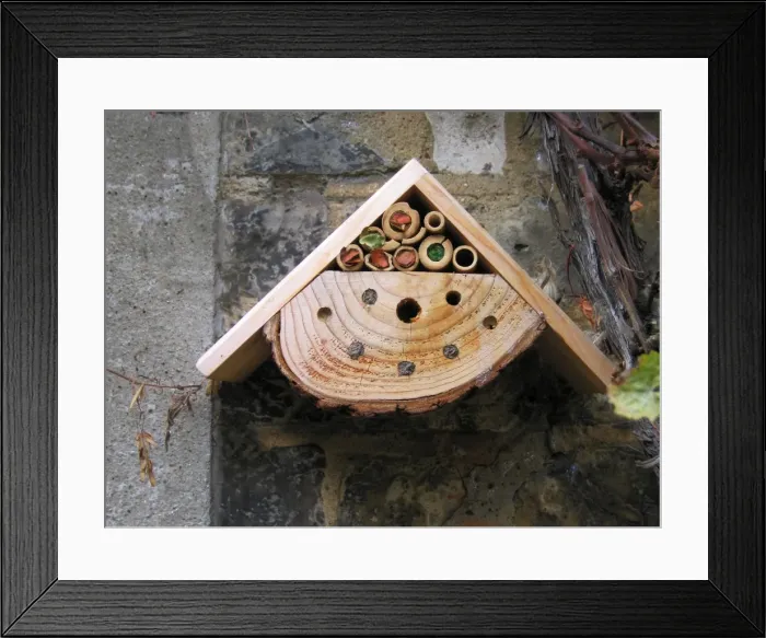 Framed Print : Bumble Bee Nest Box - in garden UK Framed Print : Bumble Bee Nest Box - in garden UK