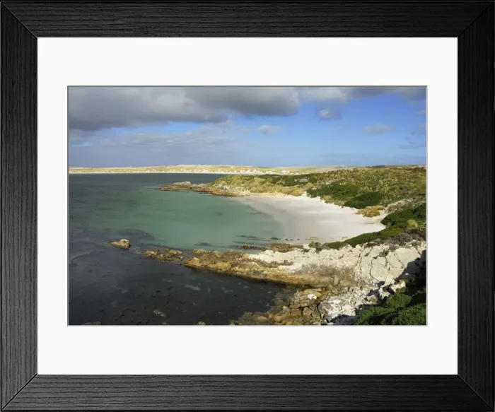 Framed Print : Gipsy Cove, Falkland Islands Framed Print : Gipsy Cove, Falkland Islands