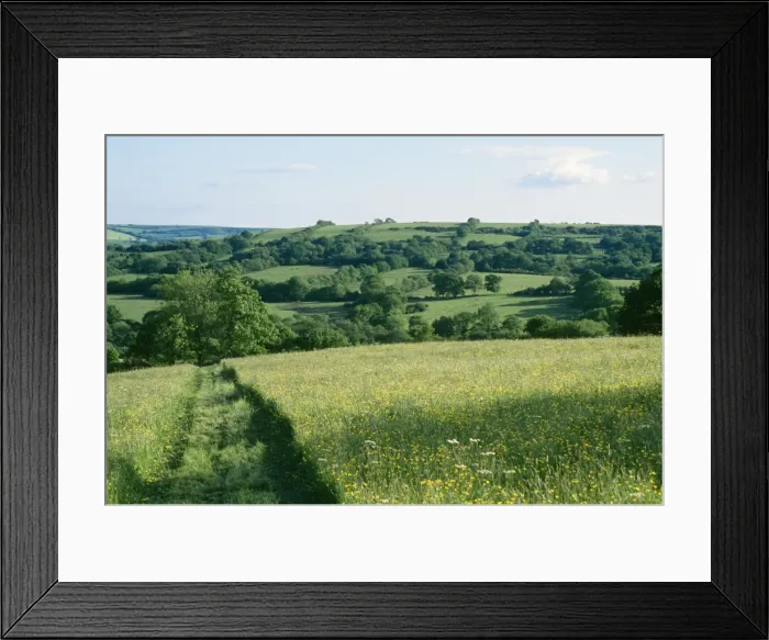 Framed Print : Dorset UK - ancient field patterns. Kingcombe meadows, Nature Reserve Framed Print : Dorset UK - ancient field patterns. Kingcombe meadows, Nature Reserve