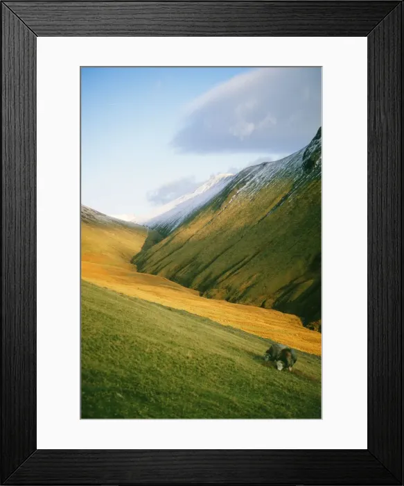 Framed Print : Lake District SSG 7341 Sail Beck, UK. © ardea. com Framed Print : Lake District SSG 7341 Sail Beck, UK. © ardea. com