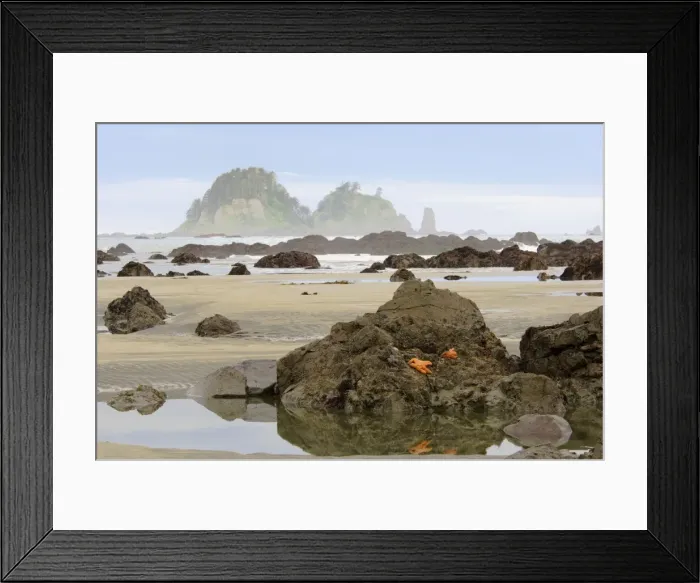 Framed Print : USA - Olympic National Park coastal scene during low tide. Cape Alava, Washington. _TPL2597 Framed Print : USA - Olympic National Park coastal scene during low tide. Cape Alava, Washington. _TPL2597
