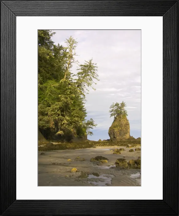 Framed Print : USA - coastal scene during low tide. Cape Alava, Olympic National Park, Washington. _TPL2627 Framed Print : USA - coastal scene during low tide. Cape Alava, Olympic National Park, Washington. _TPL2627