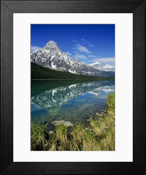 Framed Print : Canada - upper Waterfowl Lake reflecting Mount Chephren, Summer. Canadian Rockies, Banff National Park, Alberta. S1578 Framed Print : Canada - upper Waterfowl Lake reflecting Mount Chephren, Summer. Canadian Rockies, Banff National Park, Alberta. S1578