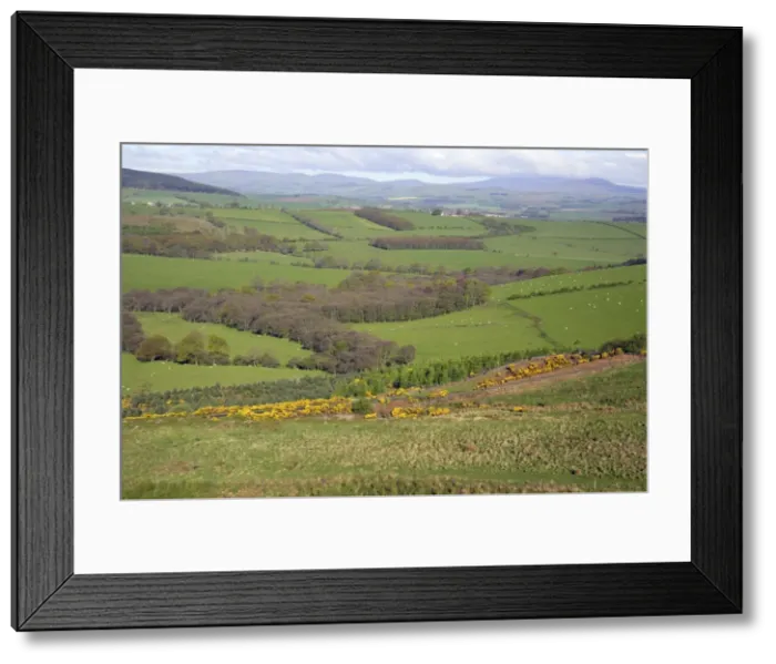 Framed Print : View from Corby Crag of Cheviot Hills, Rothbury, Northumberland NP, England Framed Print : View from Corby Crag of Cheviot Hills, Rothbury, Northumberland NP, England
