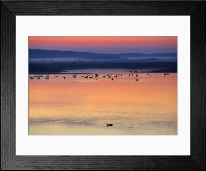 Framed Print : Holland - Twilight over lake in summer, in between sand-dunes Isle of Texel Holland Framed Print : Holland - Twilight over lake in summer, in between sand-dunes Isle of Texel Holland