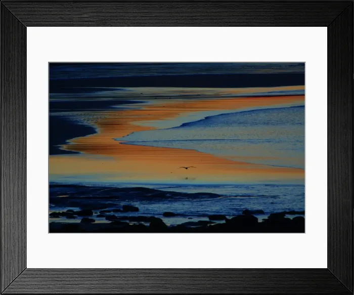 Framed Print : Grey Heron-flying over twilight lite estuary, Budle Bay, Northumberland UK Framed Print : Grey Heron-flying over twilight lite estuary, Budle Bay, Northumberland UK