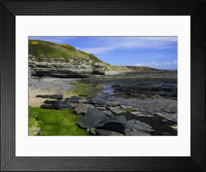 Framed Print : Howick Scar-at low tide, south of Craster, Northumberland NP, UK Framed Print : Howick Scar-at low tide, south of Craster, Northumberland NP, UK
