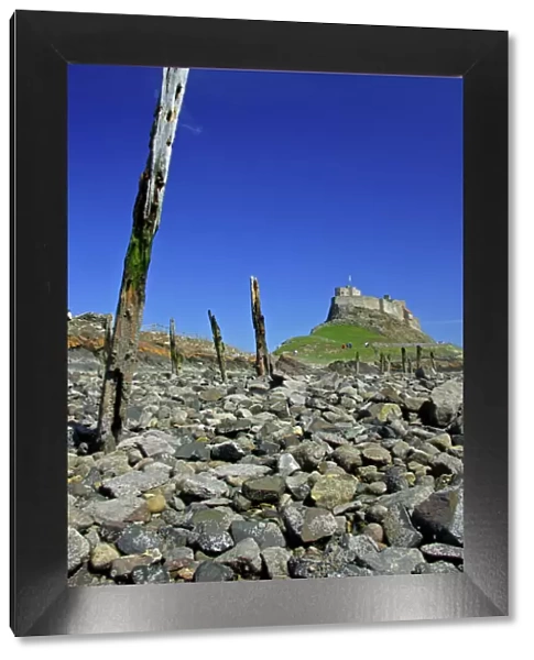 Lindisfarne, Holy Island-view of castle taken from the beach at low tide, Northumberland UK