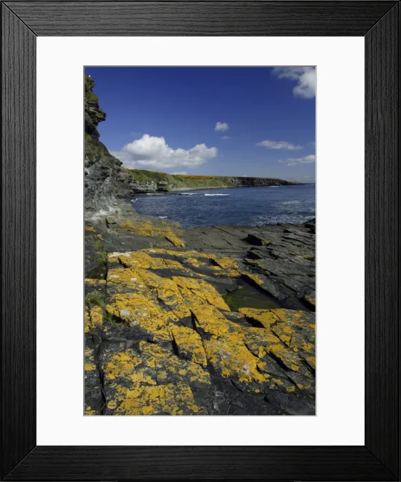Framed Print : Howick Scar-lichen covered rocks on coastline, south of Craster, Northumberland NP, UK Framed Print : Howick Scar-lichen covered rocks on coastline, south of Craster, Northumberland NP, UK