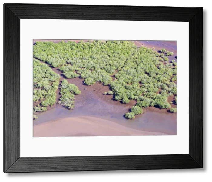 Framed Print : Mayotte Island - mangrove Indian Ocean Framed Print : Mayotte Island - mangrove Indian Ocean