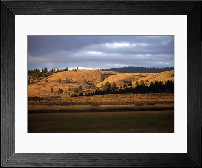 Framed Print : Ponderosa Ranch - Seneca - Oregon - USA Framed Print : Ponderosa Ranch - Seneca - Oregon - USA