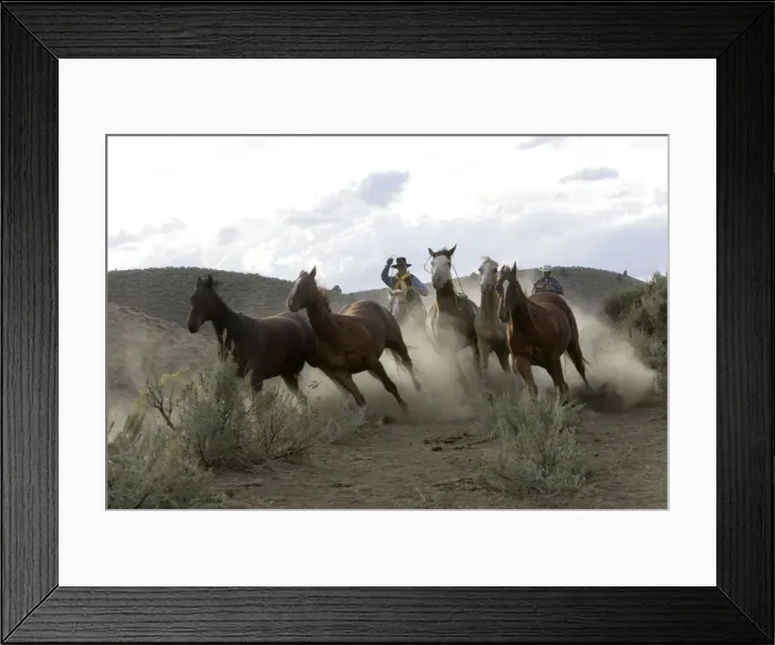 Framed Print : Cattleman herding Quarter  /  Paint Horses. Ponderosa Ranch - Seneca - Oregon - USA