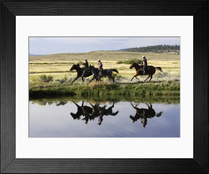 Framed Print : Cattlemen riding Quarter / Paint Horse. Ponderosa Ranch - Seneca - Oregon - USA Framed Print : Cattlemen riding Quarter / Paint Horse. Ponderosa Ranch - Seneca - Oregon - USA
