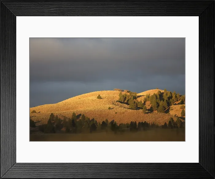 Framed Print : Ponderosa Ranch - Seneca - Oregon - USA Framed Print : Ponderosa Ranch - Seneca - Oregon - USA