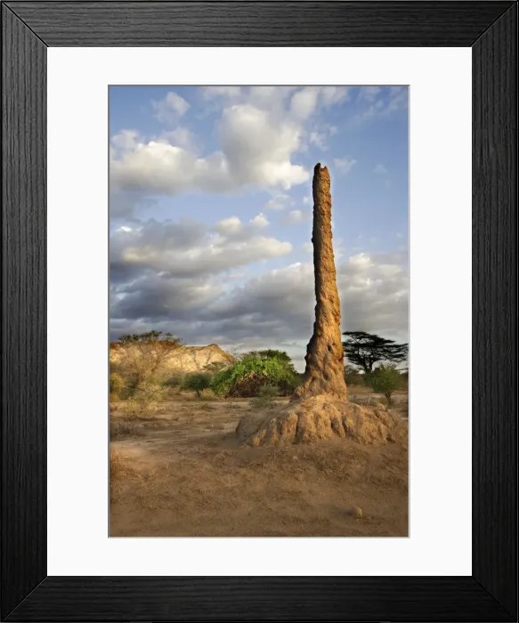 Framed Print : Termite Hill. Savanna biome - National Park of Mago - South Ethiopia Framed Print : Termite Hill. Savanna biome - National Park of Mago - South Ethiopia