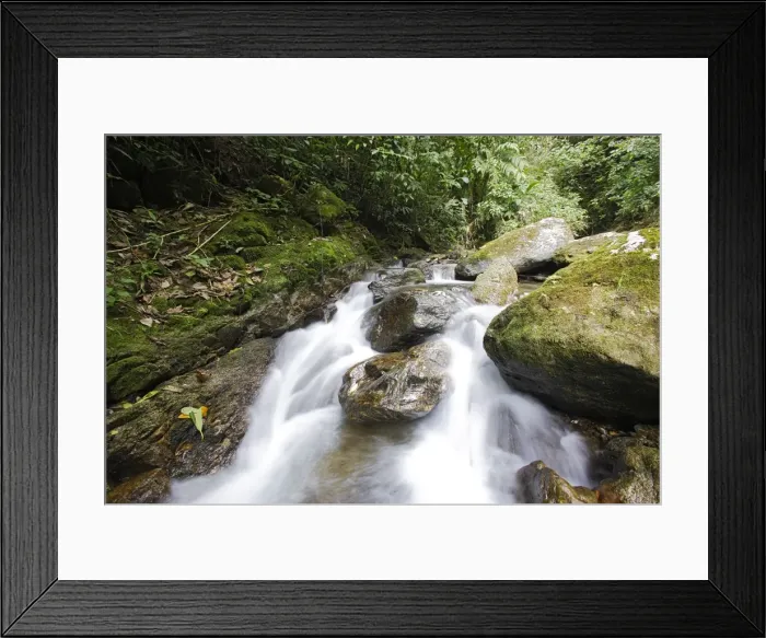 Framed Print : Rainforest and stream - San Isidro - Andes - Venezuela Framed Print : Rainforest and stream - San Isidro - Andes - Venezuela