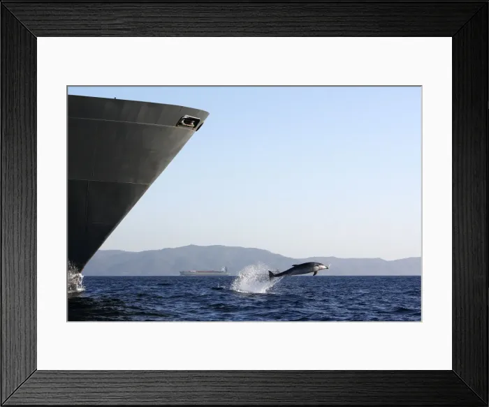 Framed Print : Bottlenose Dolphin - playing / bow riding in front of cargo ship in the strait of Gibraltar. Spain Framed Print : Bottlenose Dolphin - playing / bow riding in front of cargo ship in the strait of Gibraltar. Spain