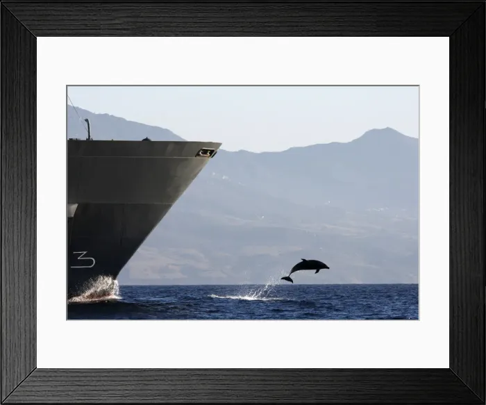 Framed Print : Bottlenose Dolphin - playing / bow riding in front of cargo ship in the strait of Gibraltar. Spain Framed Print : Bottlenose Dolphin - playing / bow riding in front of cargo ship in the strait of Gibraltar. Spain