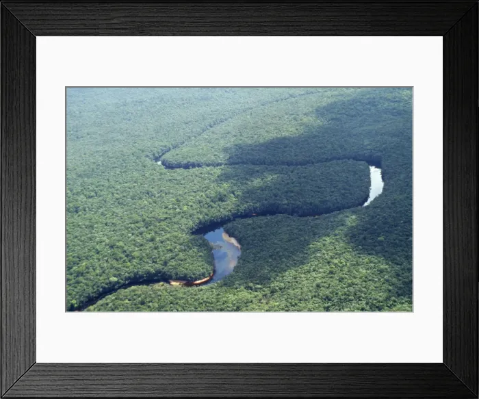 Framed Print : Venezuela Pluvial Forest, Canaima National Park Framed Print : Venezuela Pluvial Forest, Canaima National Park