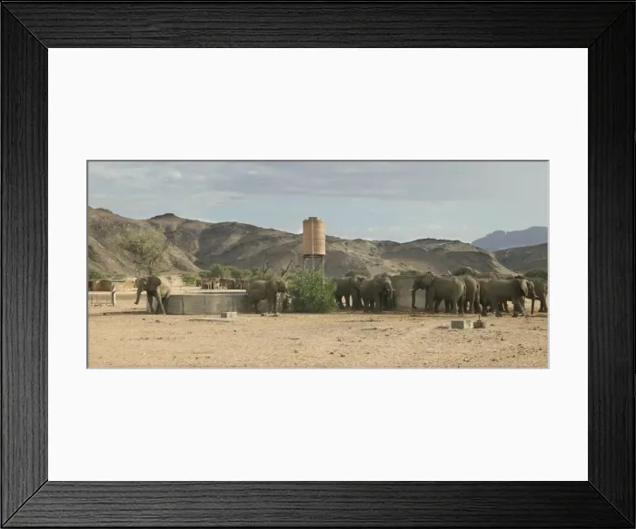 Framed Print : Desert Elephant Huab River. Namibia Framed Print : Desert Elephant Huab River. Namibia