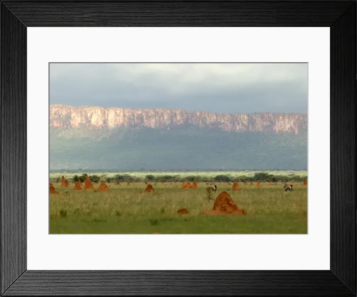 Framed Print : Africa Waterberg plateau, National Park, Namibia Framed Print : Africa Waterberg plateau, National Park, Namibia