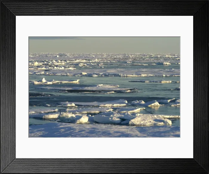 Framed Print : Ice Floe North Svalbard, Spitzbergen, Norway Framed Print : Ice Floe North Svalbard, Spitzbergen, Norway