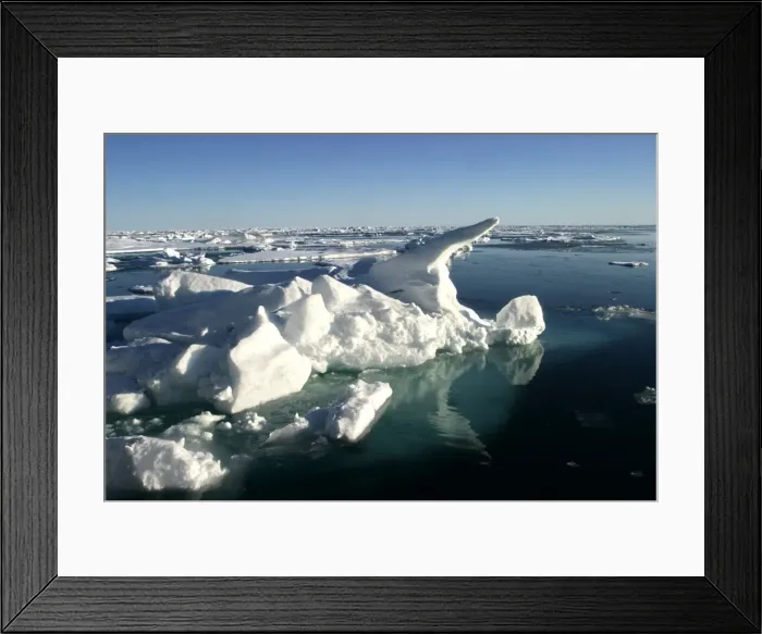 Framed Print : Ice Floe North Svalbard, Spitzbergen, Norway Framed Print : Ice Floe North Svalbard, Spitzbergen, Norway