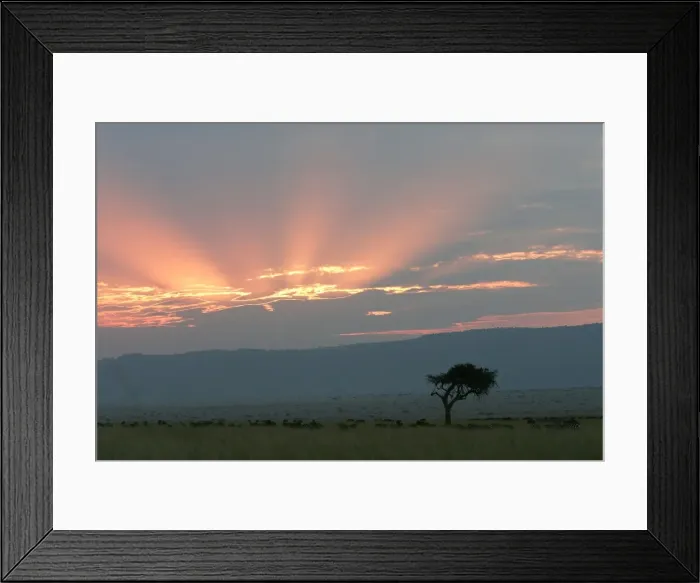 Framed Print : Kenya - Sunset over Maasai Mara National Park, Africa Framed Print : Kenya - Sunset over Maasai Mara National Park, Africa