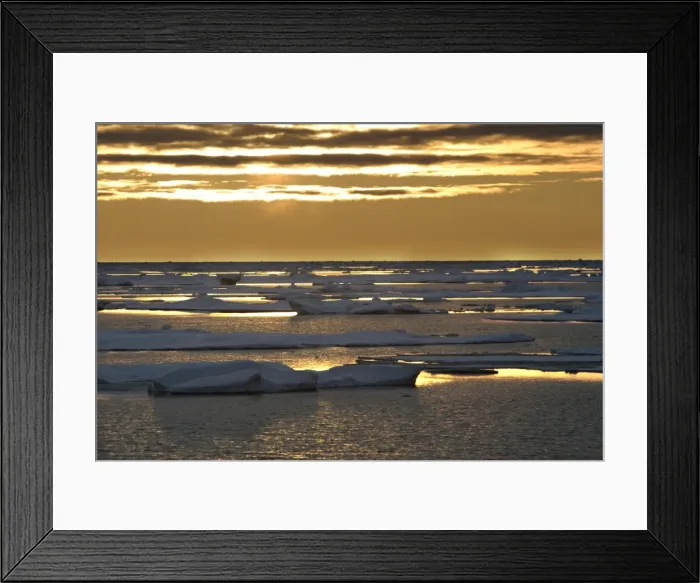 Framed Print : Pack ice - North spitzberg - Svalbard Norge Framed Print : Pack ice - North spitzberg - Svalbard Norge
