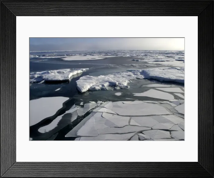 Framed Print : Pack Ice - melting floes and breaking ice. Spitzbergen, north Svalbard Framed Print : Pack Ice - melting floes and breaking ice. Spitzbergen, north Svalbard