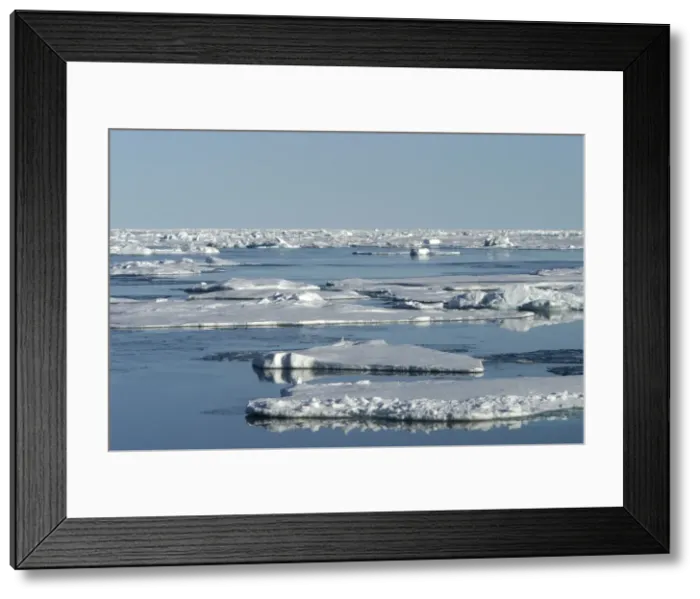 Framed Print : Pack Ice - ice floes. Spitzbergen, north Svalbard Framed Print : Pack Ice - ice floes. Spitzbergen, north Svalbard