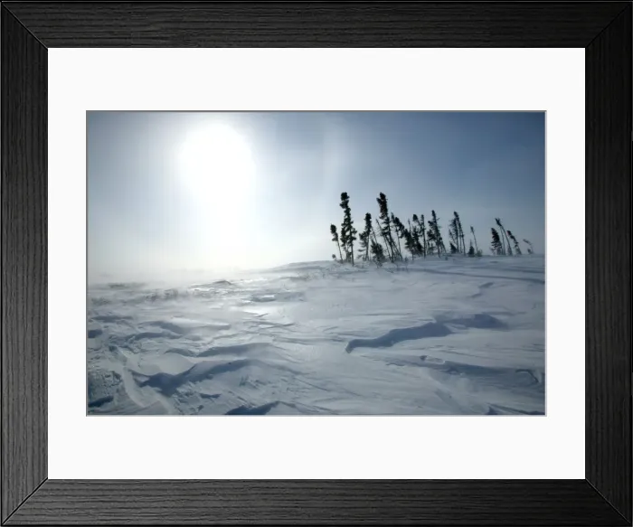 Framed Print : Tundra - sun shining as snow is blown across landscape. Churchill. Manitoba. Canada