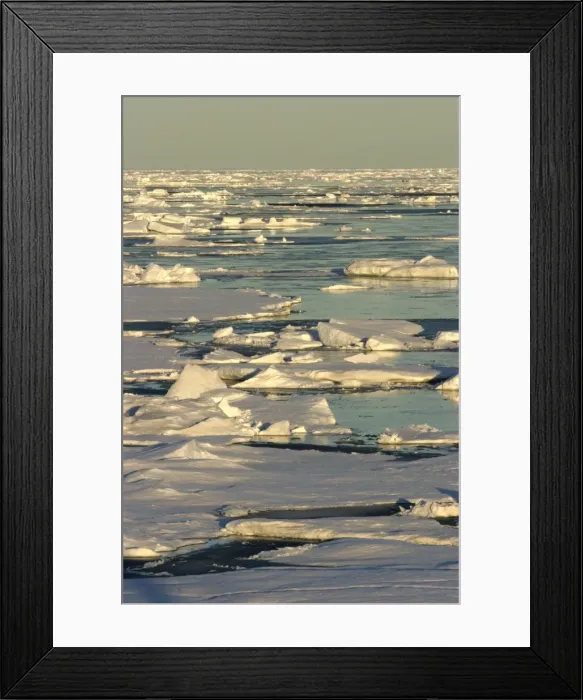 Framed Print : Pack Ice. Nord Svalbard. Spitzberg Framed Print : Pack Ice. Nord Svalbard. Spitzberg