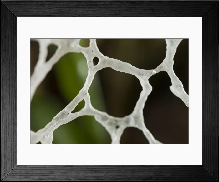 Framed Print : AE-5972-5932 Framed Print : AE-5972-5932