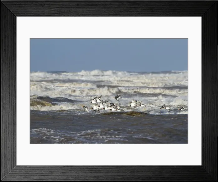 Framed Print : Picture No. 11671282 Framed Print : Picture No. 11671282